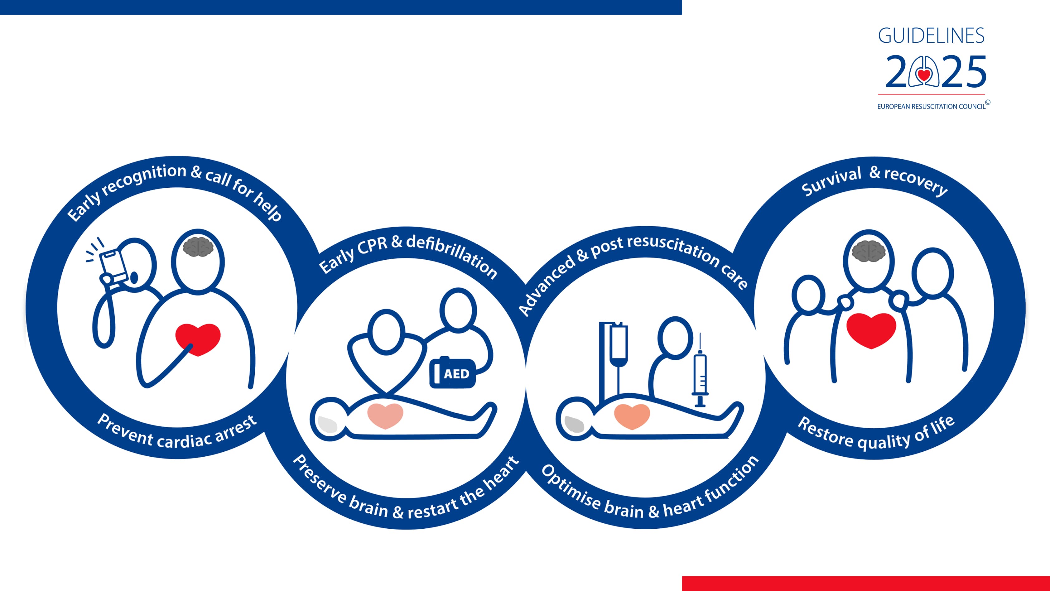 Nouvelles Recommandations ERC 2025 : Guide complet du secouriste